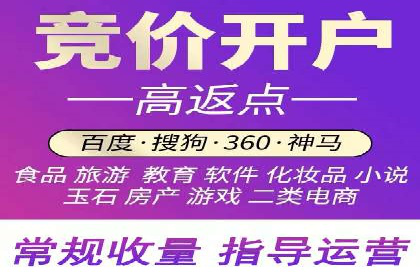 竞价推广策略：某电商平台的成功案例